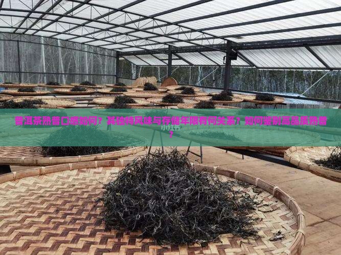 普洱茶熟普口感如何？其独特风味与存储年限有何关系？如何鉴别高品质熟普？