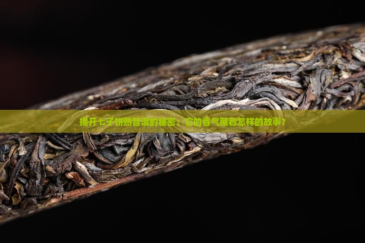 揭开七子饼熟普洱的秘密：它的香气藏着怎样的故事？