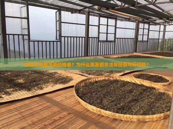 章家三队普洱茶价格表？为什么茶友都关注年份茶与标杆茶？