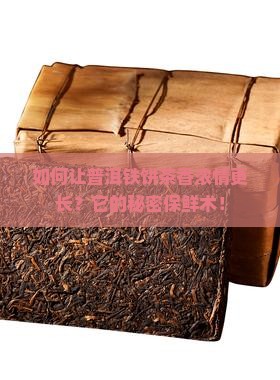 如何让普洱铁饼茶香浓情更长？它的秘密保鲜术！