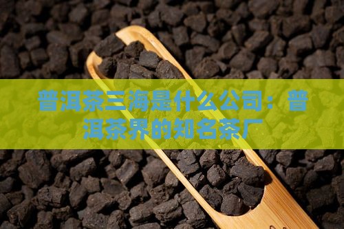 普洱茶三海是什么公司：普洱茶界的知名茶厂