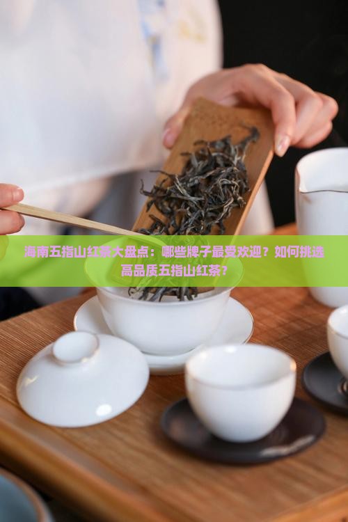 海南五指山红茶大盘点：哪些牌子最受欢迎？如何挑选高品质五指山红茶？