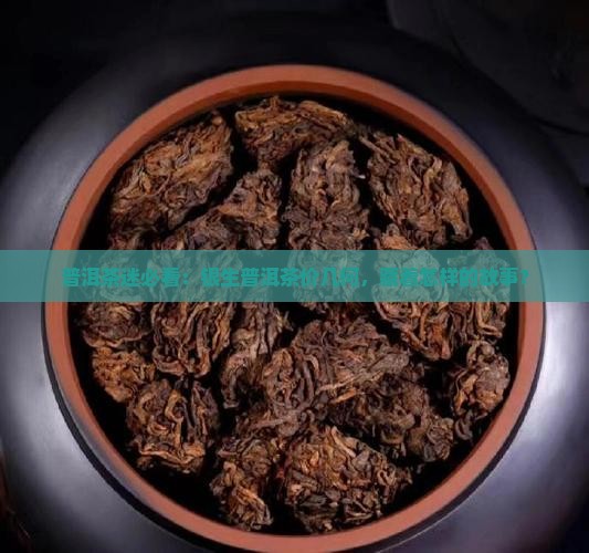 普洱茶迷必看：银生普洱茶价几何，藏着怎样的故事？