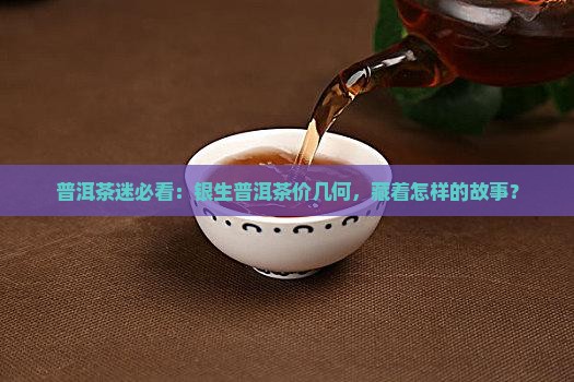 普洱茶迷必看：银生普洱茶价几何，藏着怎样的故事？