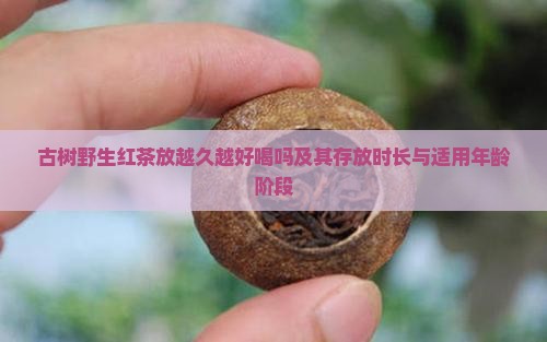 古树野生红茶放越久越好喝吗及其存放时长与适用年龄阶段