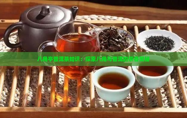 八角亭普洱茶知识：探索八角与普洱的茶香奥秘