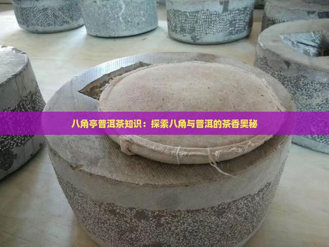 八角亭普洱茶知识：探索八角与普洱的茶香奥秘