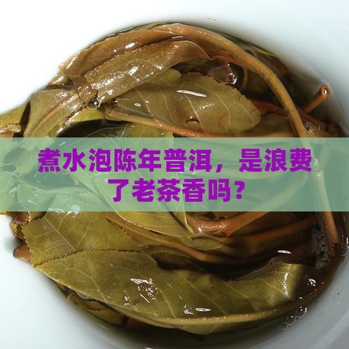 煮水泡陈年普洱，是浪费了老茶香吗？