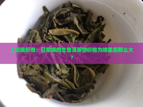 上班族好奇：日常喝的生普洱茶饼价格为啥差距那么大？