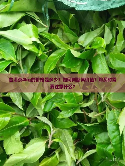 普洱茶4kg的价格是多少？如何判断其价值？购买时需要注意什么？