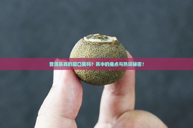 普洱茶真的凝口臭吗？其中的痛点与热词秘密！