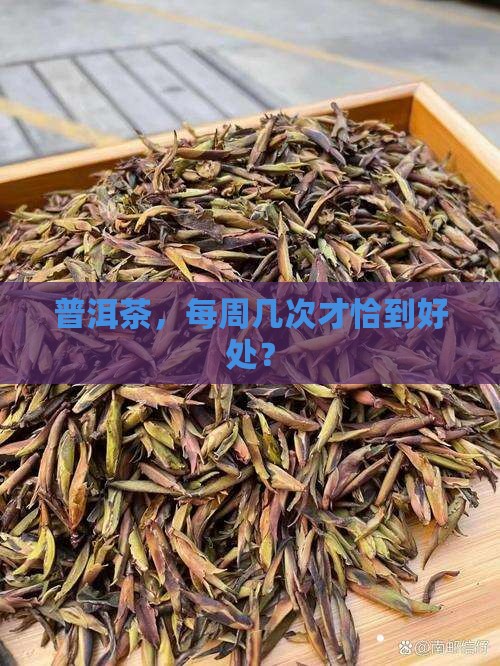 普洱茶，每周几次才恰到好处？