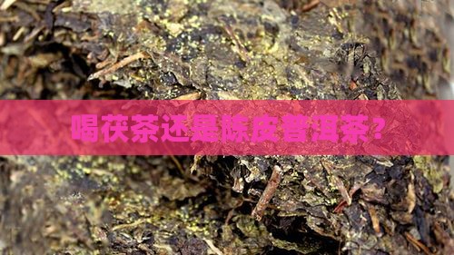 喝茯茶还是陈皮普洱茶？