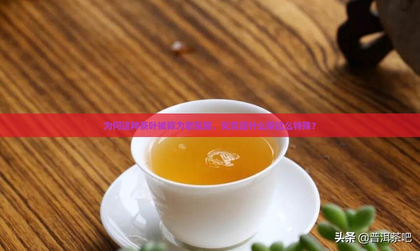 为何这种茶叶被称为老鼠屎，究竟是什么茶这么特殊？