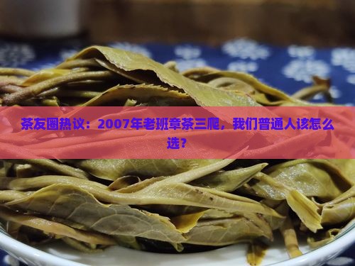 茶友圈热议：2007年老班章茶三爬，我们普通人该怎么选？