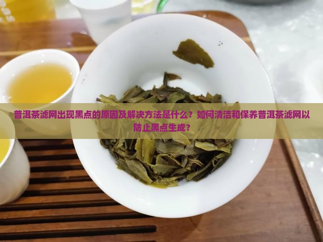 普洱茶滤网出现黑点的原因及解决方法是什么？如何清洁和保养普洱茶滤网以防止黑点生成？