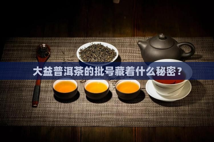 大益普洱茶的批号藏着什么秘密？