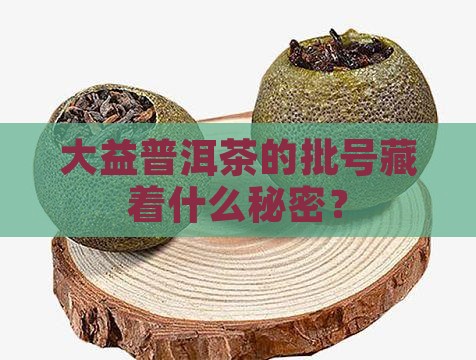 大益普洱茶的批号藏着什么秘密？