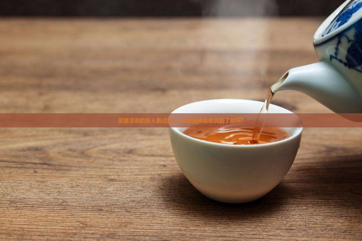 买普洱茶的新人看过来！3个必选种类你真的了解吗？