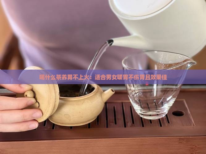 喝什么茶养胃不上火：适合男女暖胃不伤胃且效果佳