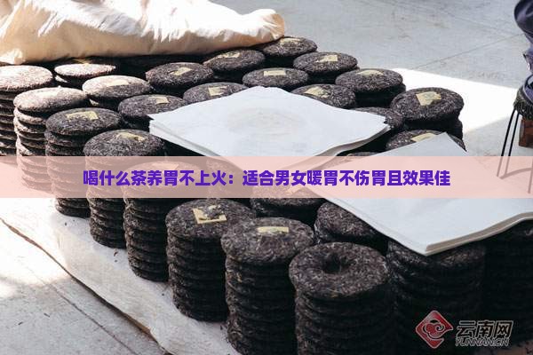 喝什么茶养胃不上火：适合男女暖胃不伤胃且效果佳