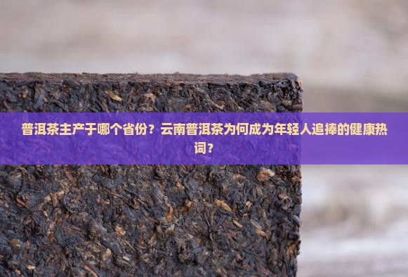 普洱茶主产于哪个省份？云南普洱茶为何成为年轻人追捧的健康热词？