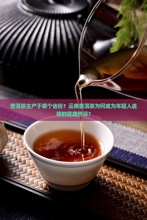 普洱茶主产于哪个省份？云南普洱茶为何成为年轻人追捧的健康热词？