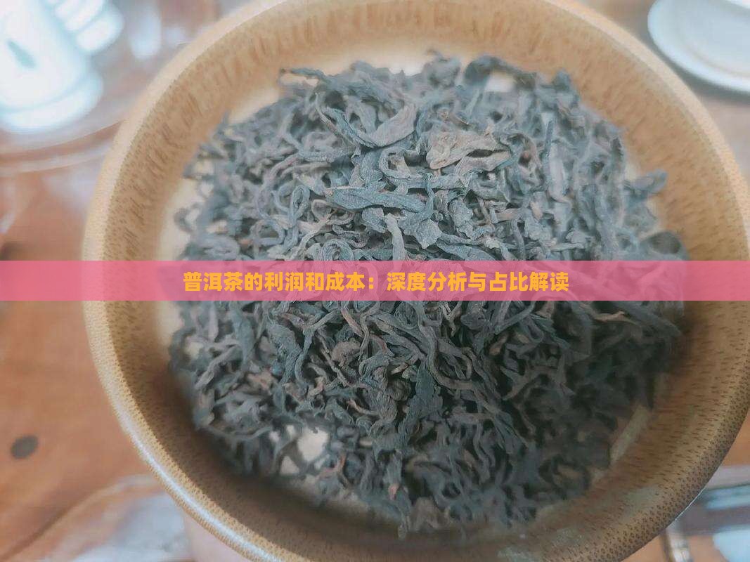 普洱茶的利润和成本：深度分析与占比解读