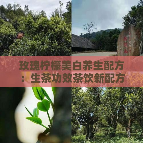 玫瑰柠檬美白养生配方：生茶功效茶饮新配方