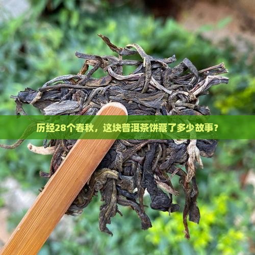 历经28个春秋，这块普洱茶饼藏了多少故事？