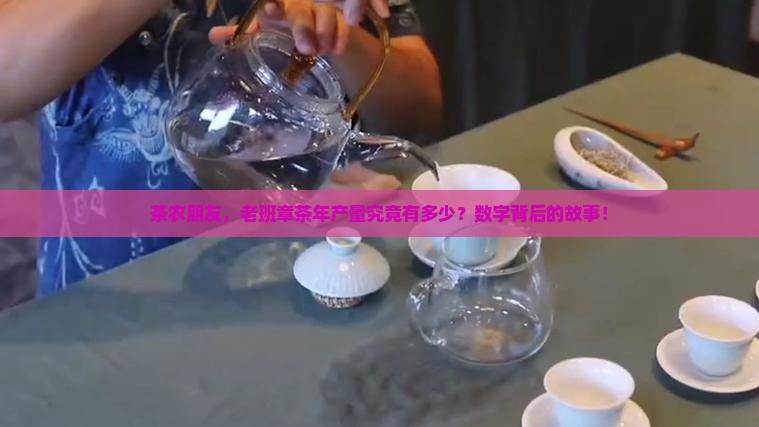 茶农朋友，老班章茶年产量究竟有多少？数字背后的故事！