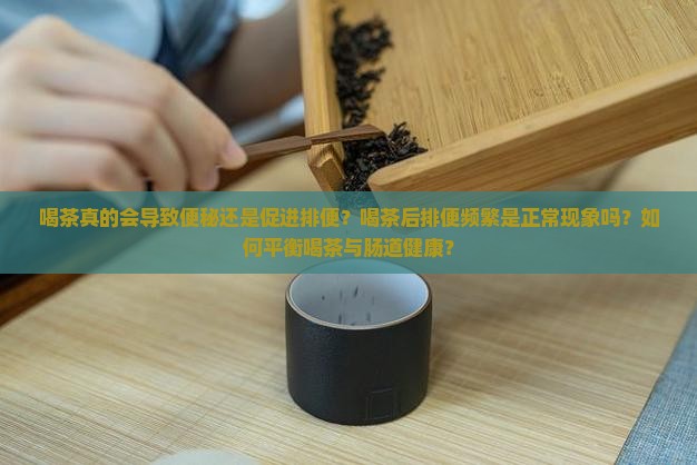 喝茶真的会导致便秘还是促进排便？喝茶后排便频繁是正常现象吗？如何平衡喝茶与肠道健康？