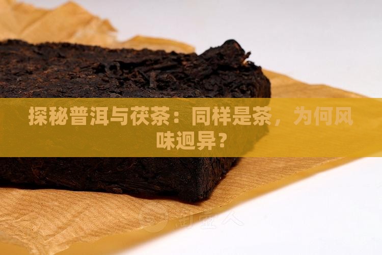 探秘普洱与茯茶：同样是茶，为何风味迥异？