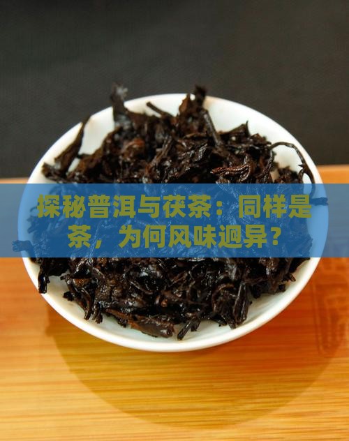 探秘普洱与茯茶：同样是茶，为何风味迥异？