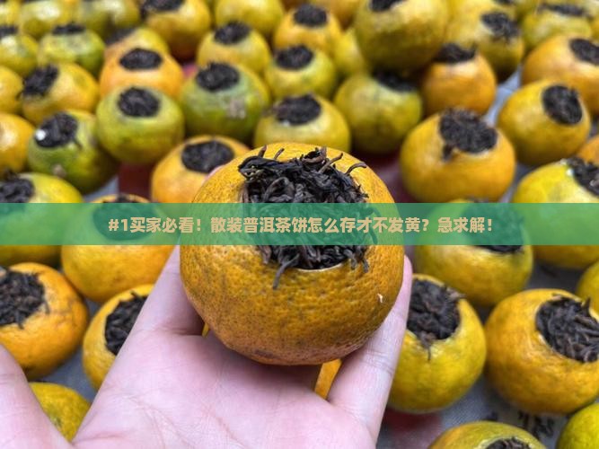 #1买家必看！散装普洱茶饼怎么存才不发黄？急求解！