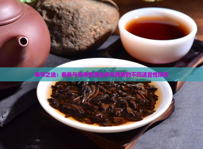 季节之选：春季与冬季普洱生茶与熟茶的不同适宜性探究