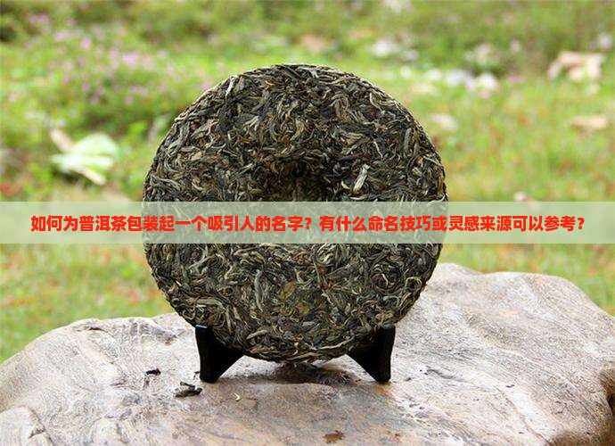 如何为普洱茶包装起一个吸引人的名字？有什么命名技巧或灵感来源可以参考？