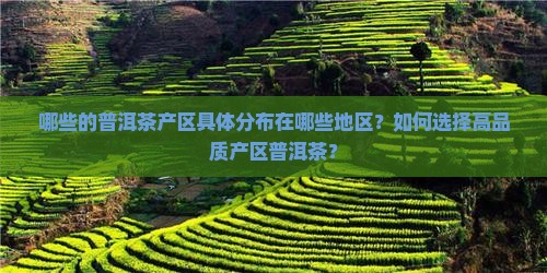 哪些的普洱茶产区具体分布在哪些地区？如何选择高品质产区普洱茶？