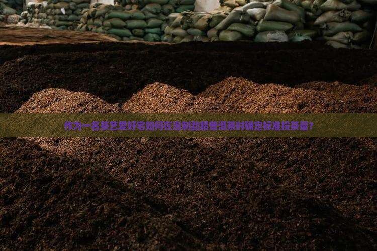 作为一名茶艺爱好宅如何在泡制勐腊普洱茶时确定标准投茶量？
