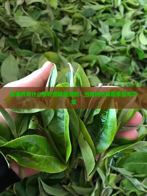 张家界有什么茶叶是降血脂的：当地特色降脂茶品与功效