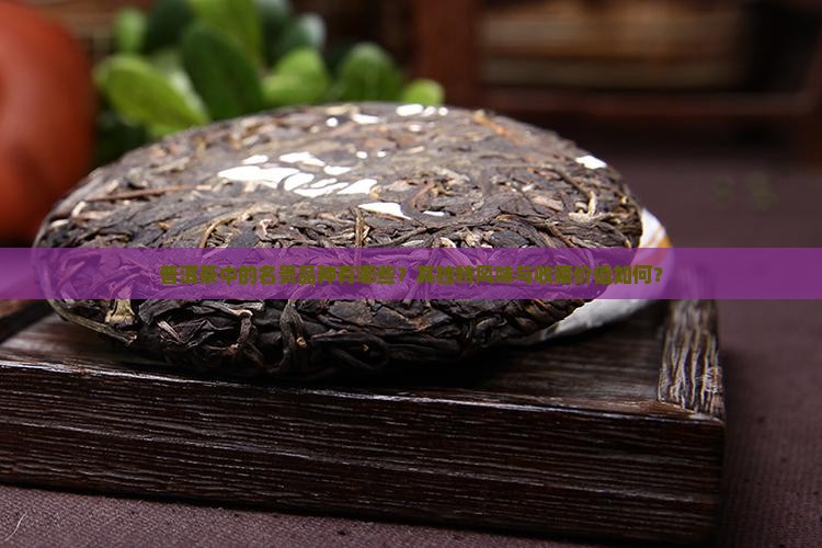 普洱茶中的名贵品种有哪些？其独特风味与收藏价值如何？