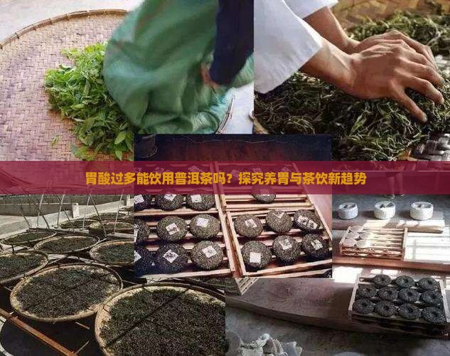 胃酸过多能饮用普洱茶吗？探究养胃与茶饮新趋势