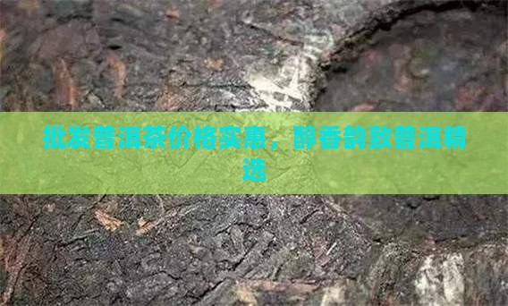 批发普洱茶价格实惠，醇香韵致普洱精选