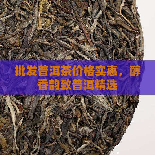 批发普洱茶价格实惠，醇香韵致普洱精选