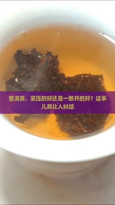 普洱茶，紧压的好还是一散开的好？这事儿真让人纠结