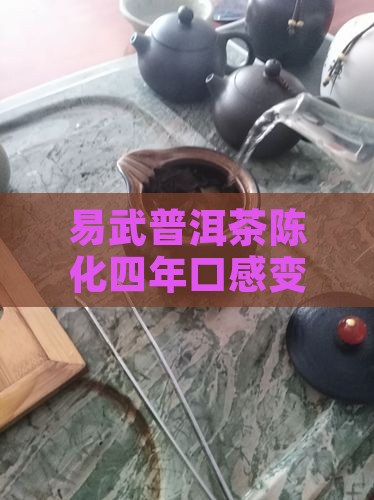 易武普洱茶陈化四年口感变化与收藏价值分析