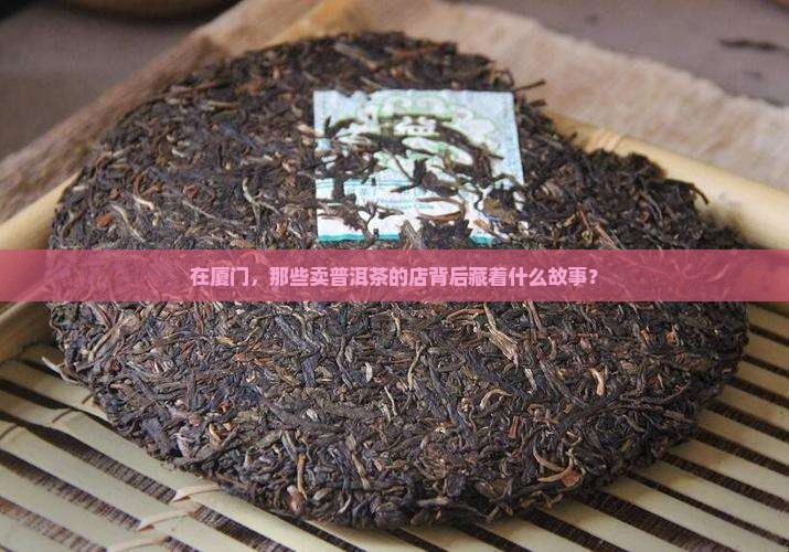 在厦门，那些卖普洱茶的店背后藏着什么故事？