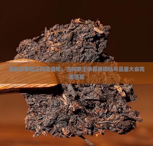 曼松贡茶和正同昌曼松：古树茶王争霸赛揭晓与品鉴大会完美落幕