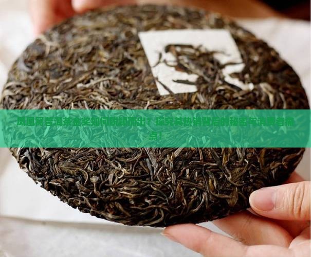 凤凰窝普洱茶金奖如何脱颖而出？探究其热销背后的秘密与消费者痛点！