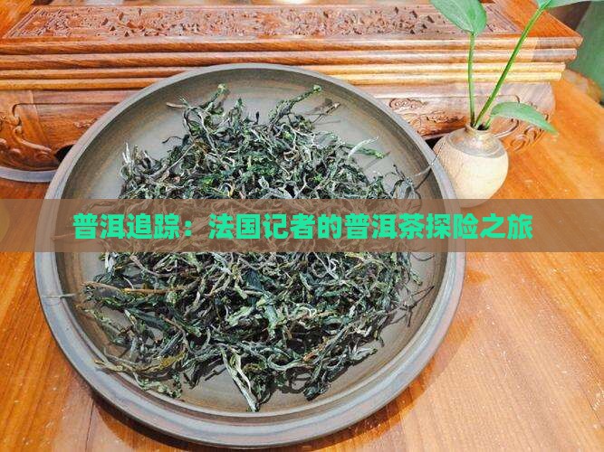 普洱追踪：法国记者的普洱茶探险之旅
